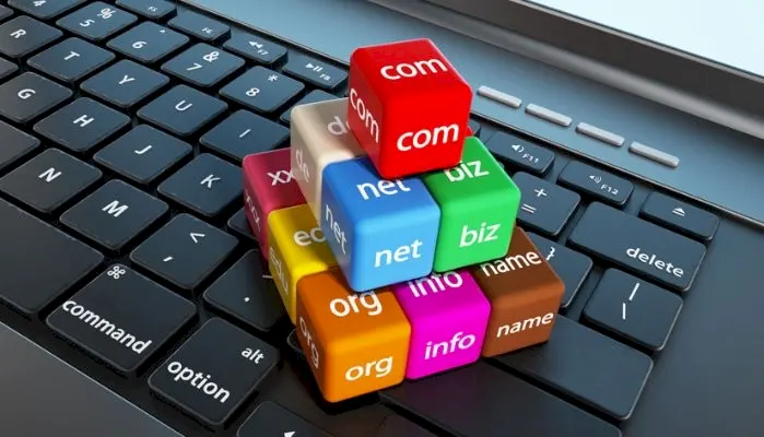 Domain Name Brokerage Services